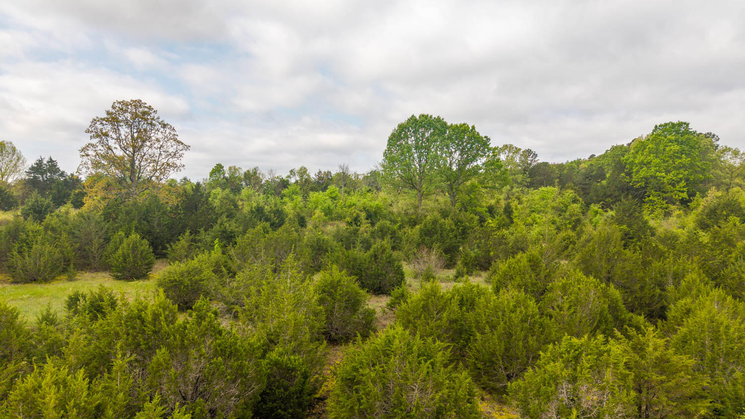 Photo of Tract 8 Little Woods Road Elizabeth AR 72531