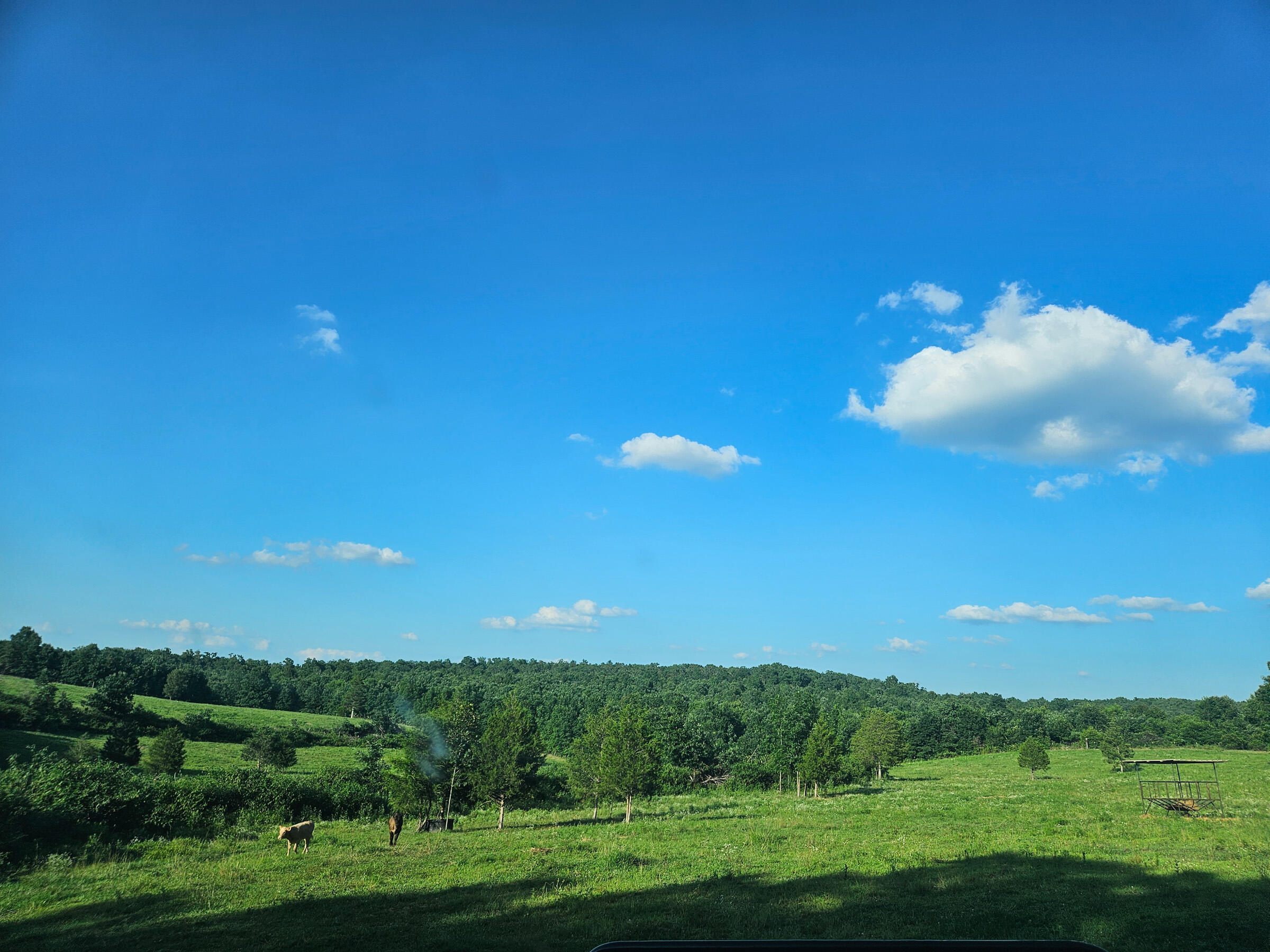 Photo of 4118 County Road U-659 Birch Tree MO 65438