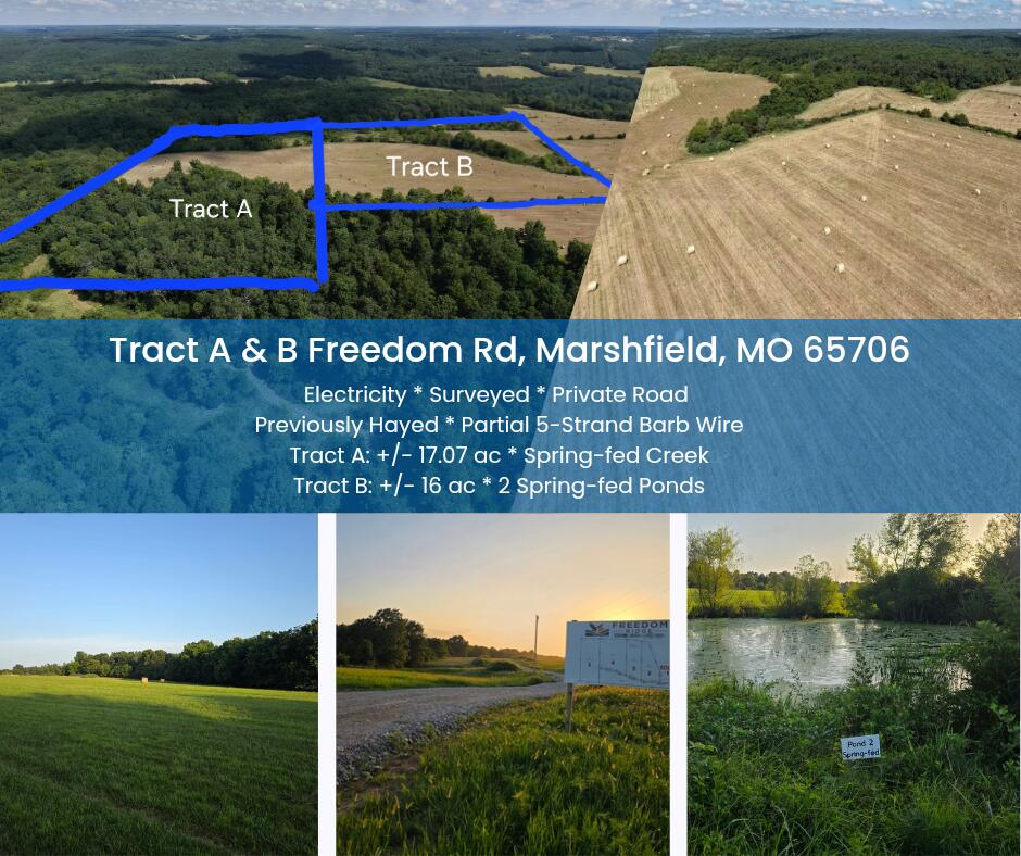 Photo of Tract B Freedom Road Marshfield MO 65706