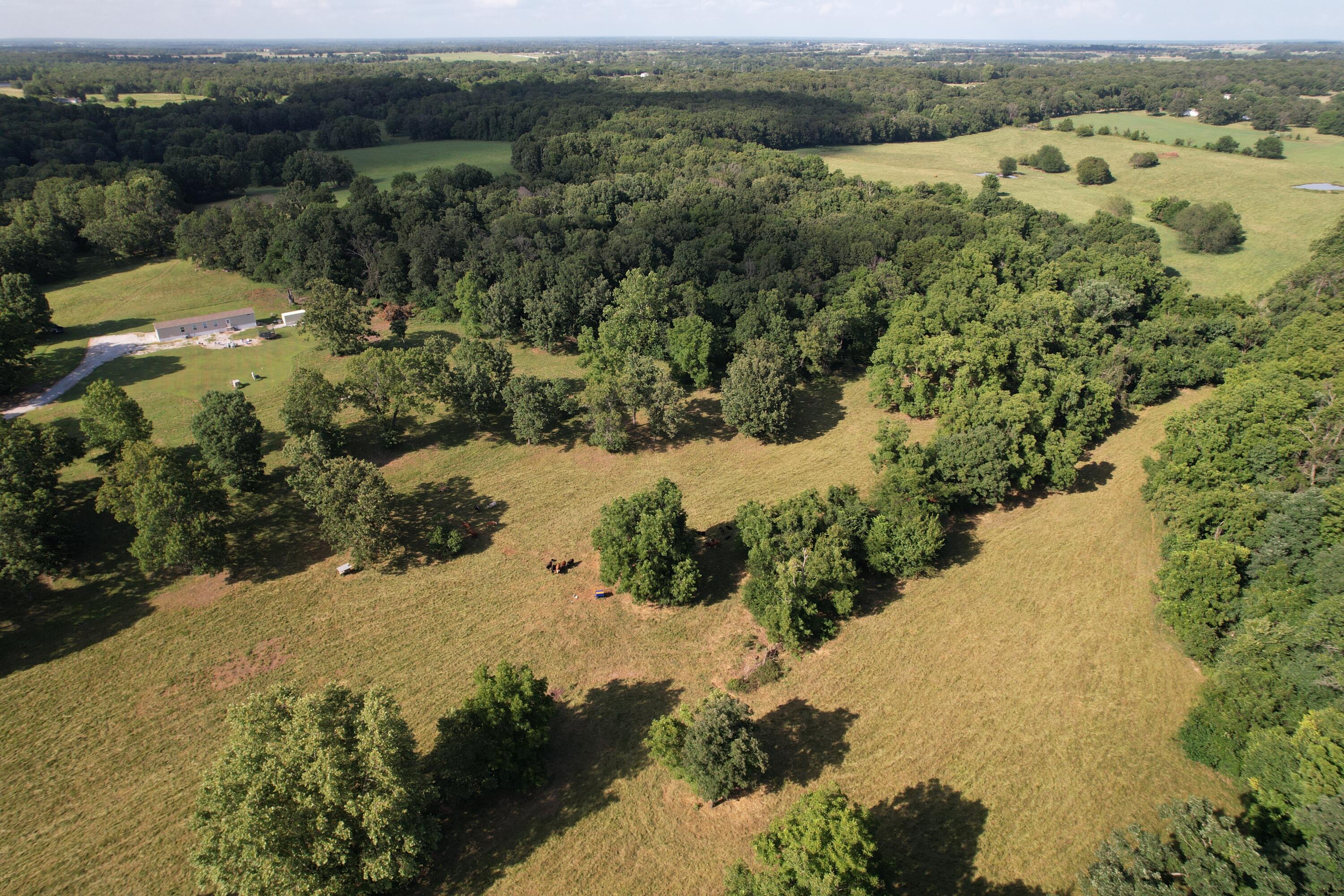 Photo of 6731 Raccoon Road Granby MO 64844