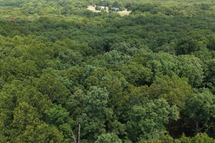 Photo of 000 Highway 5 Gravois Mills MO 65037