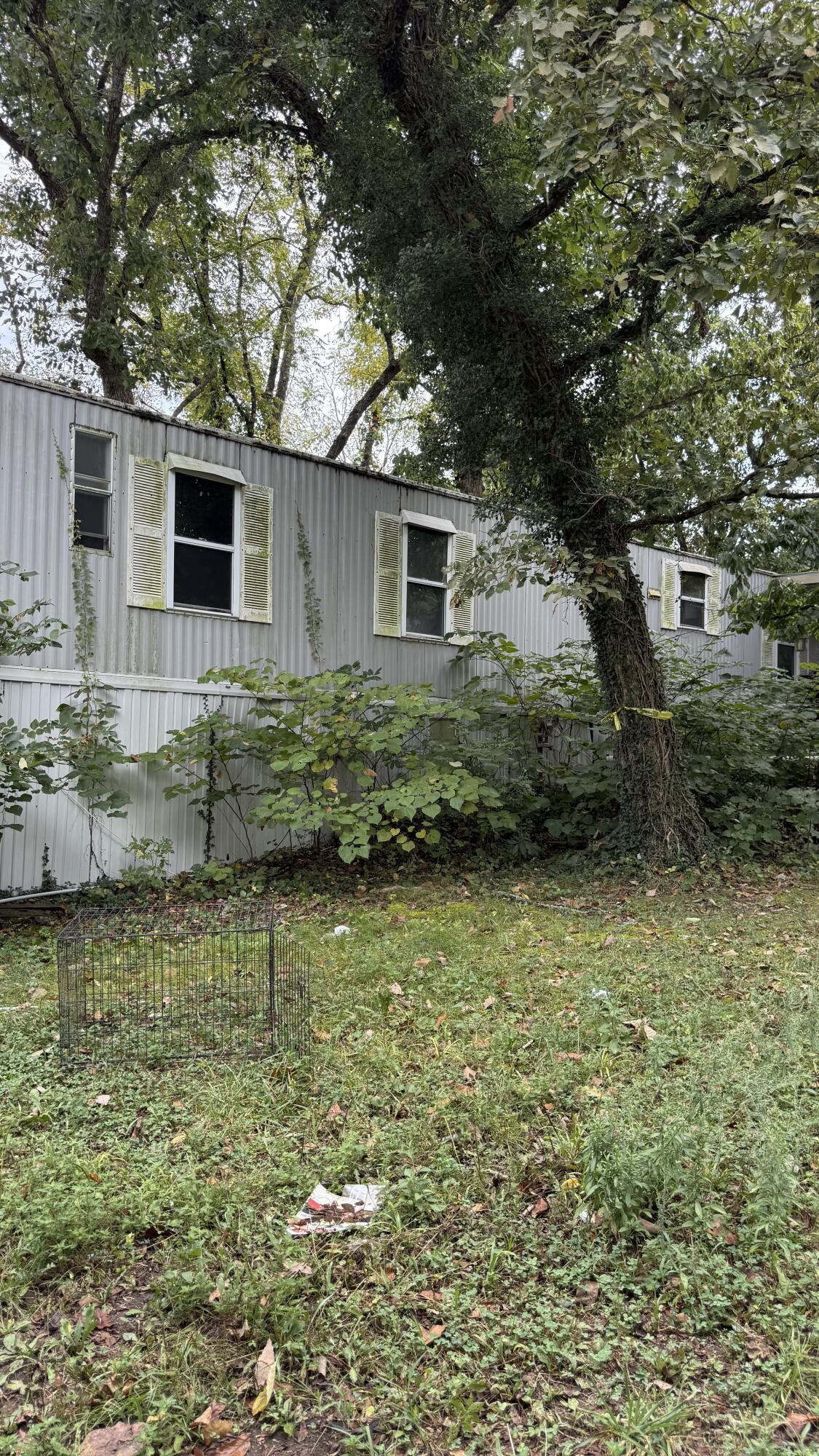 Photo of 381 Mill Hollow Road Forsyth MO 65653