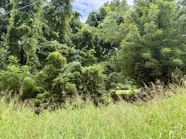 Photo of 000 E Grand - 6.97 Acre M/L Street Springfield MO 65804