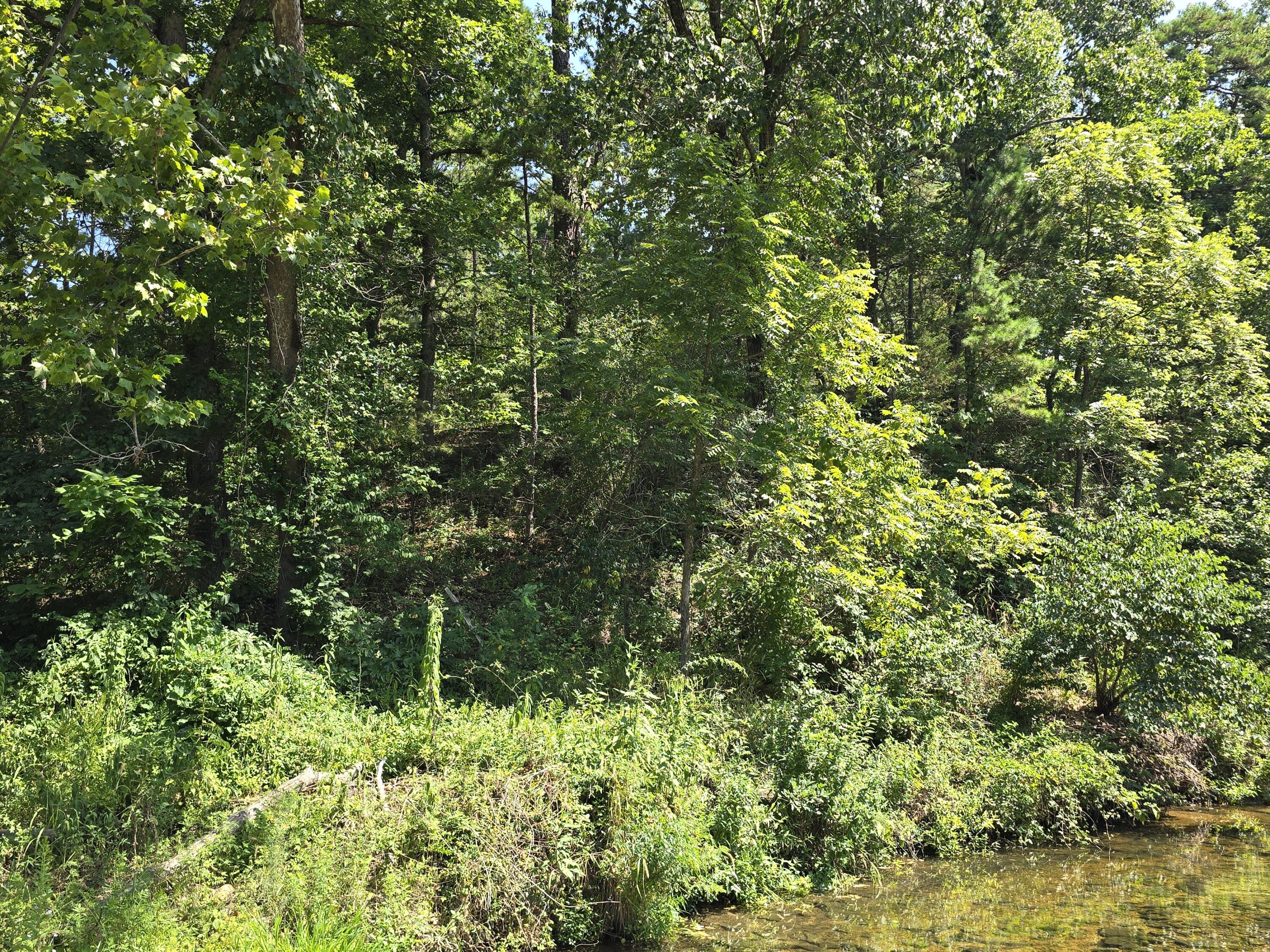 Photo of 000 Minera Mineral Drive Houston MO 65483