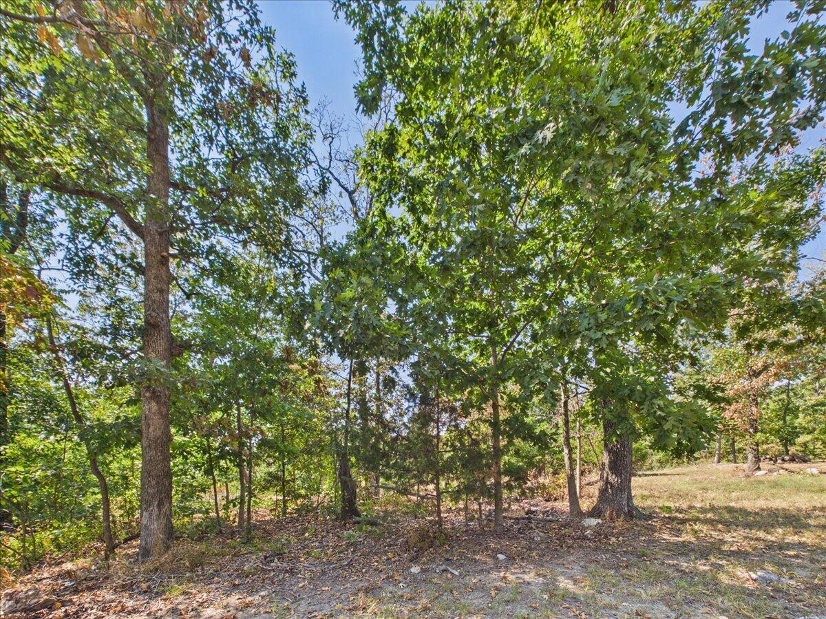 Photo of 000 Wild Turkey Run Urbana MO 65767