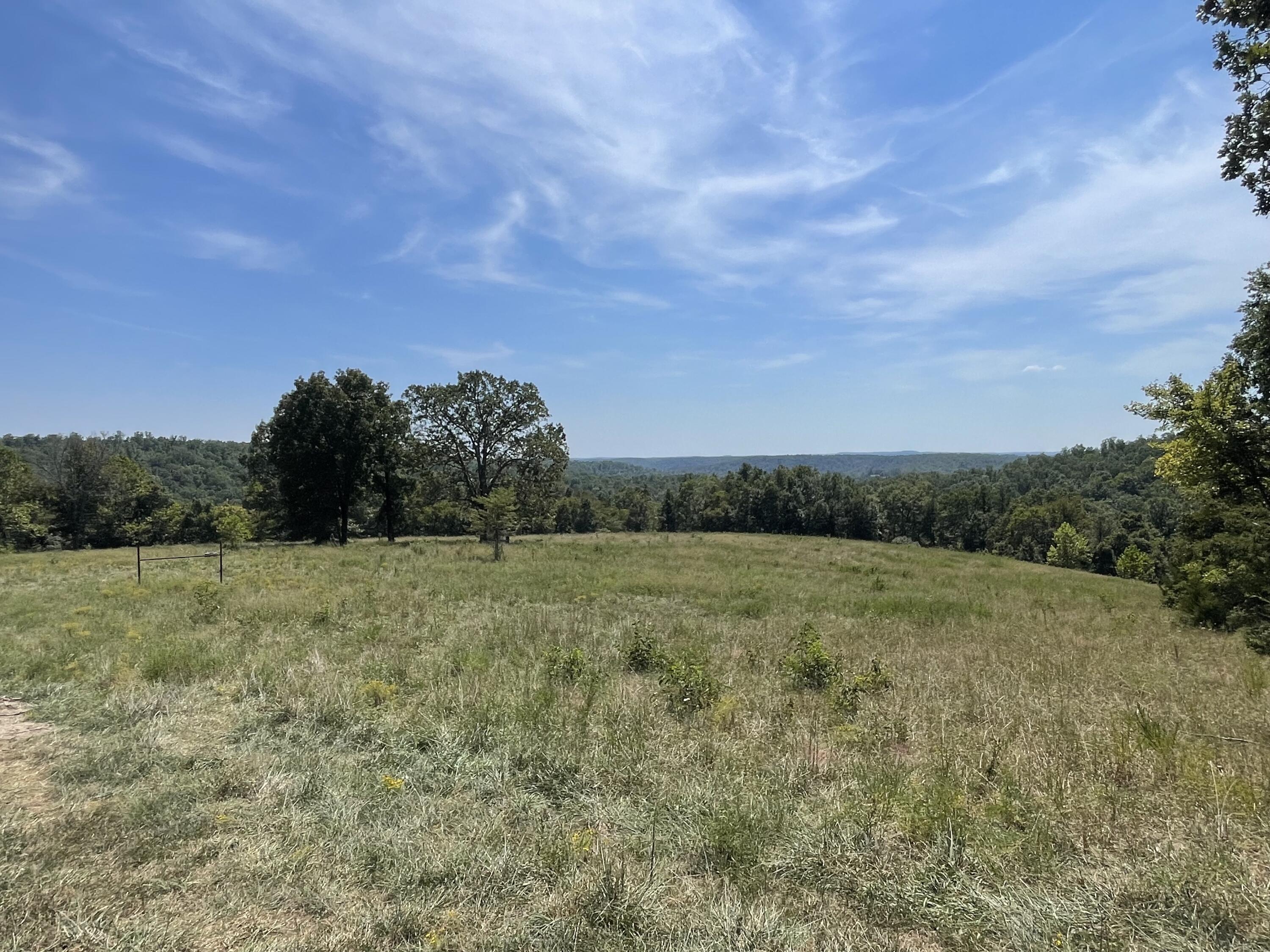 Photo of 000 County Road 114 Ava MO 65608