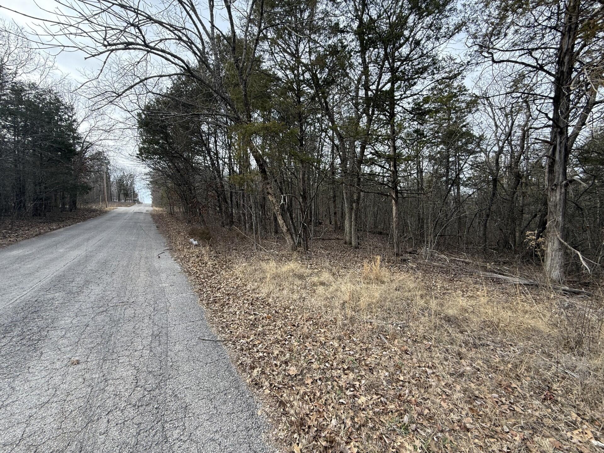 Photo of 130, 131 Turkey Mountain Estates #2 Abesville MO 65656