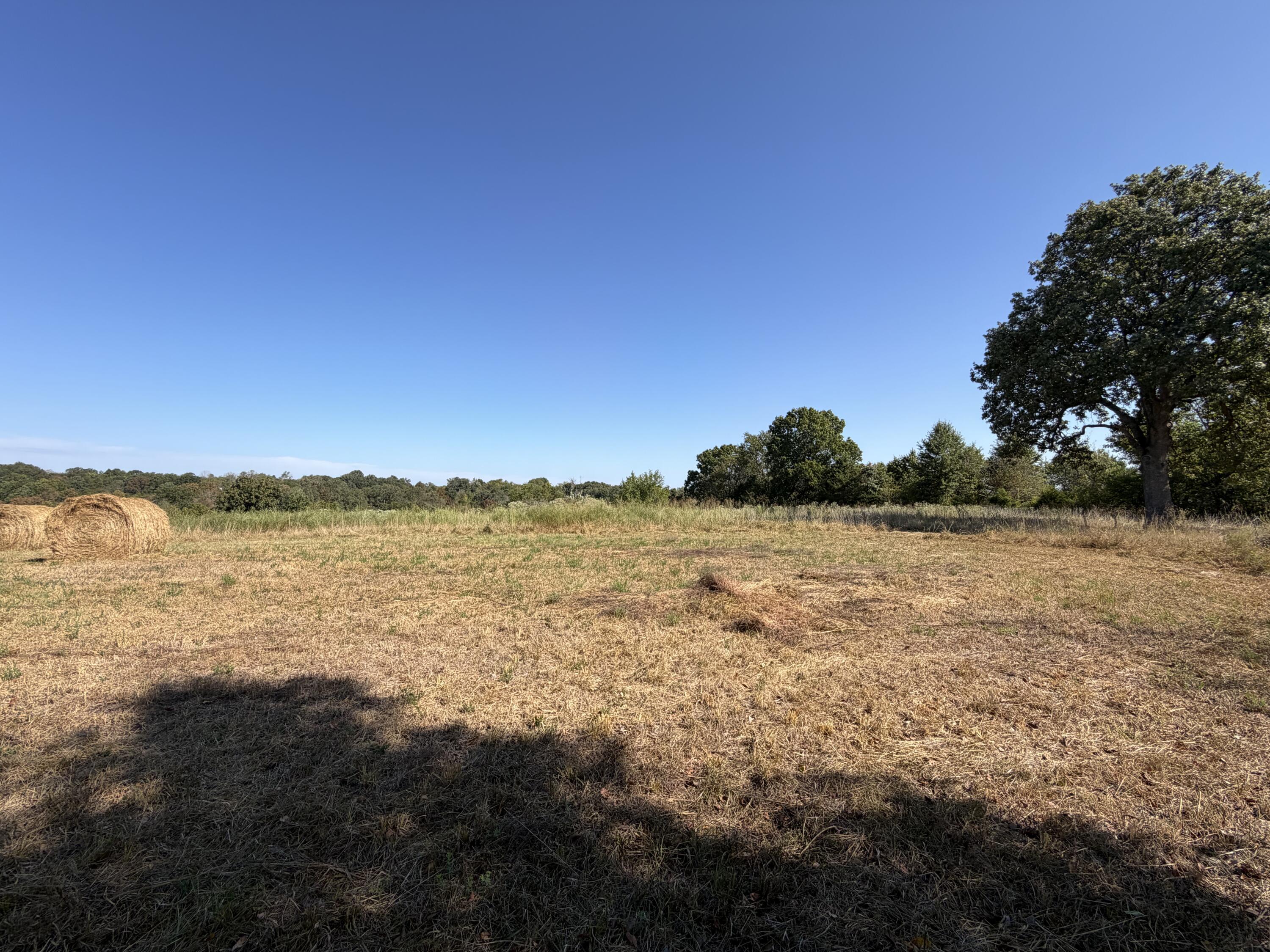 Photo of 000 Greentown Road Buffalo MO 65622