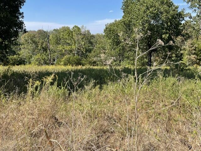 Photo of 0 Lane Branch Road Hurley MO 65675