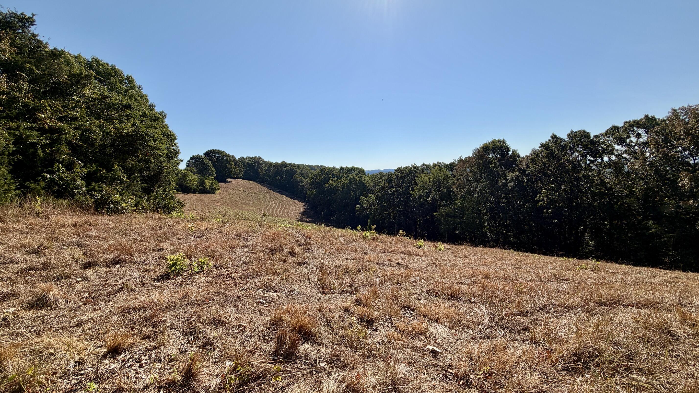 Photo of 9479 State Highway 176 Walnut Shade MO 65771