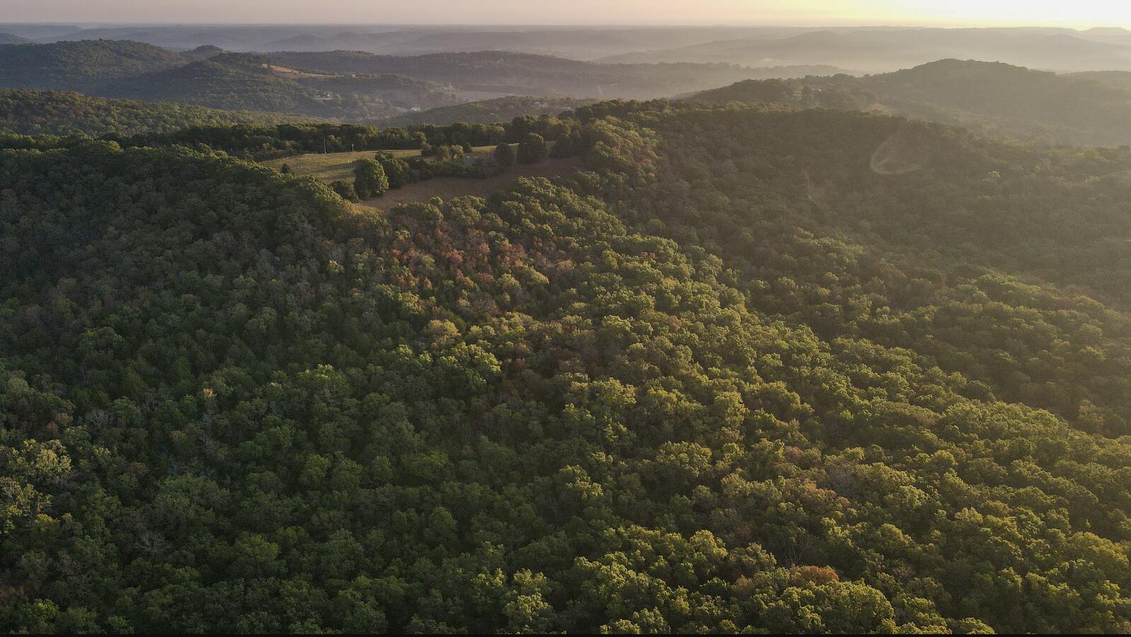 Photo of 000 Missouri 176 Walnut Shade MO 65771
