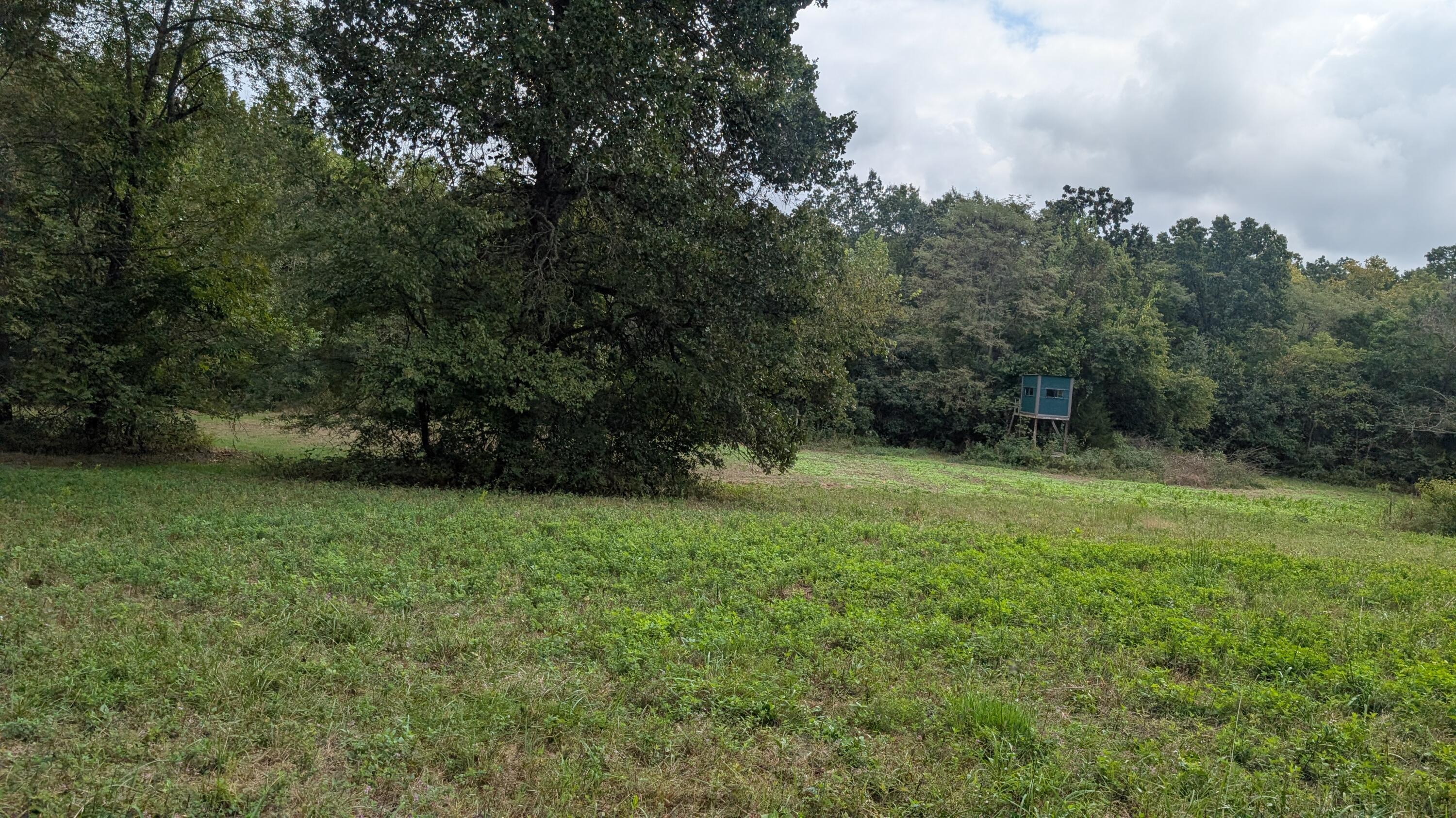 Photo of 5740 SE 731 Road Collins MO 64738