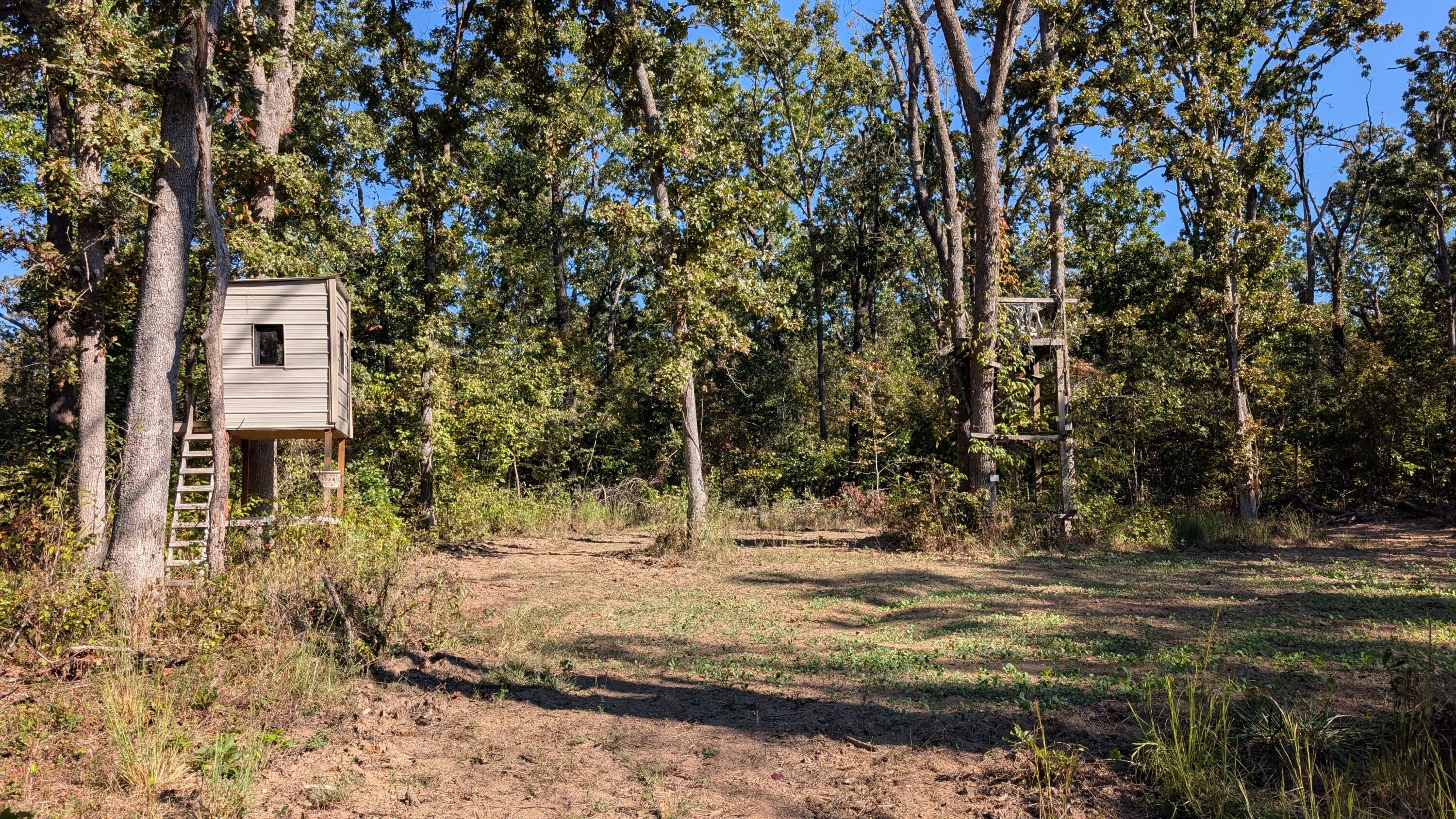 Photo of 000 SE 731 Road Collins MO 64738