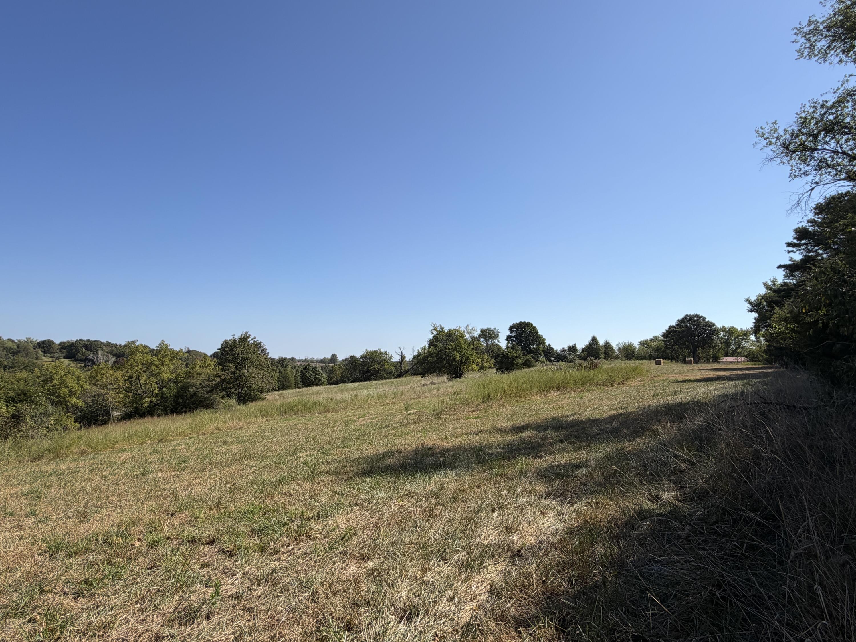 Photo of 001 Greentown Road Buffalo MO 65622