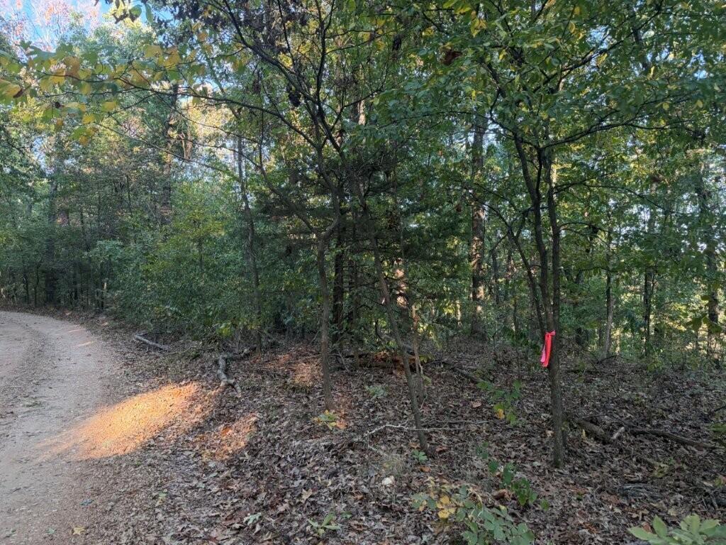 Photo of 000 Skylark Road Washburn MO 65772