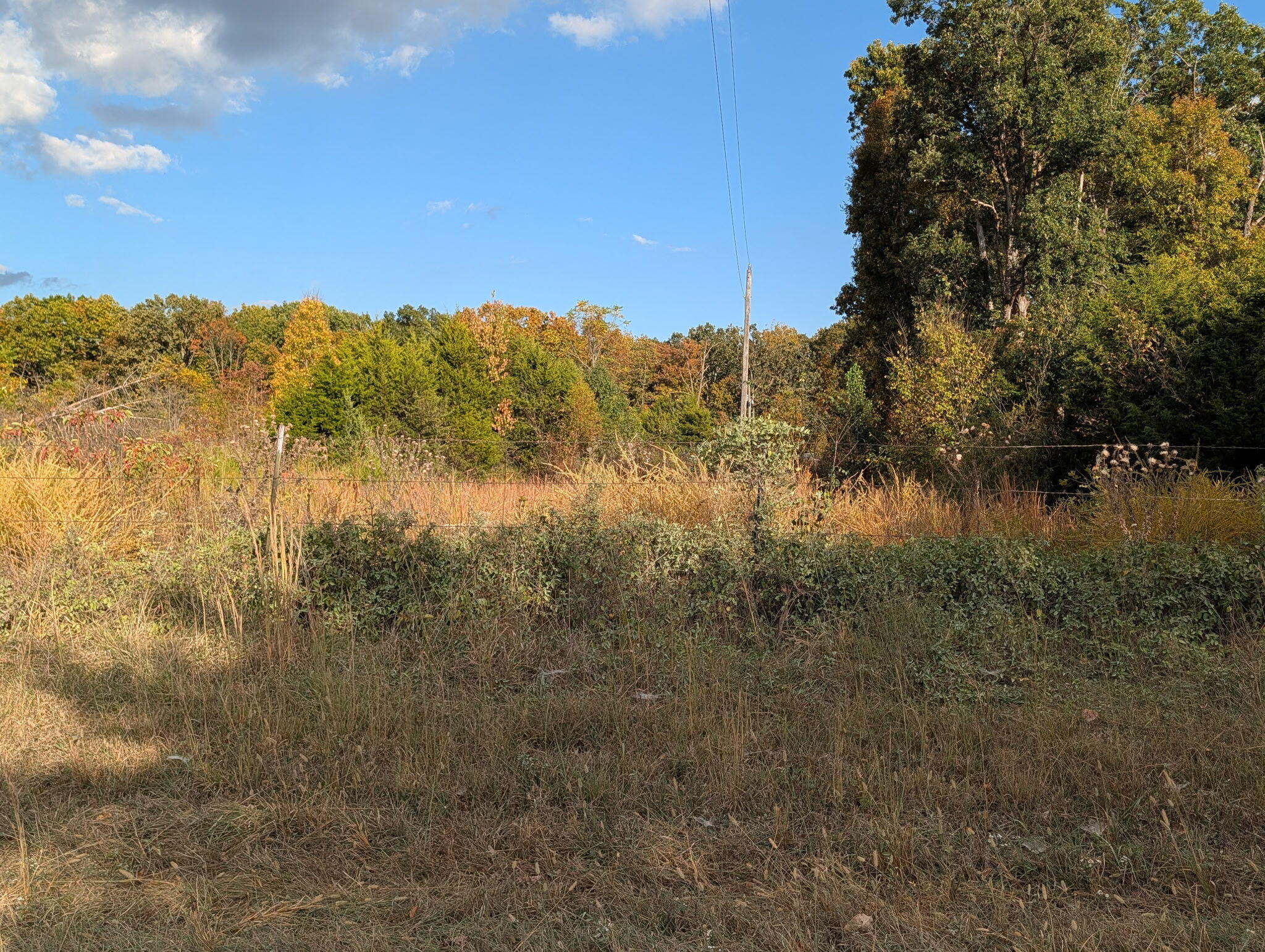 Photo of 122 Zenar Road Fordland MO 65652
